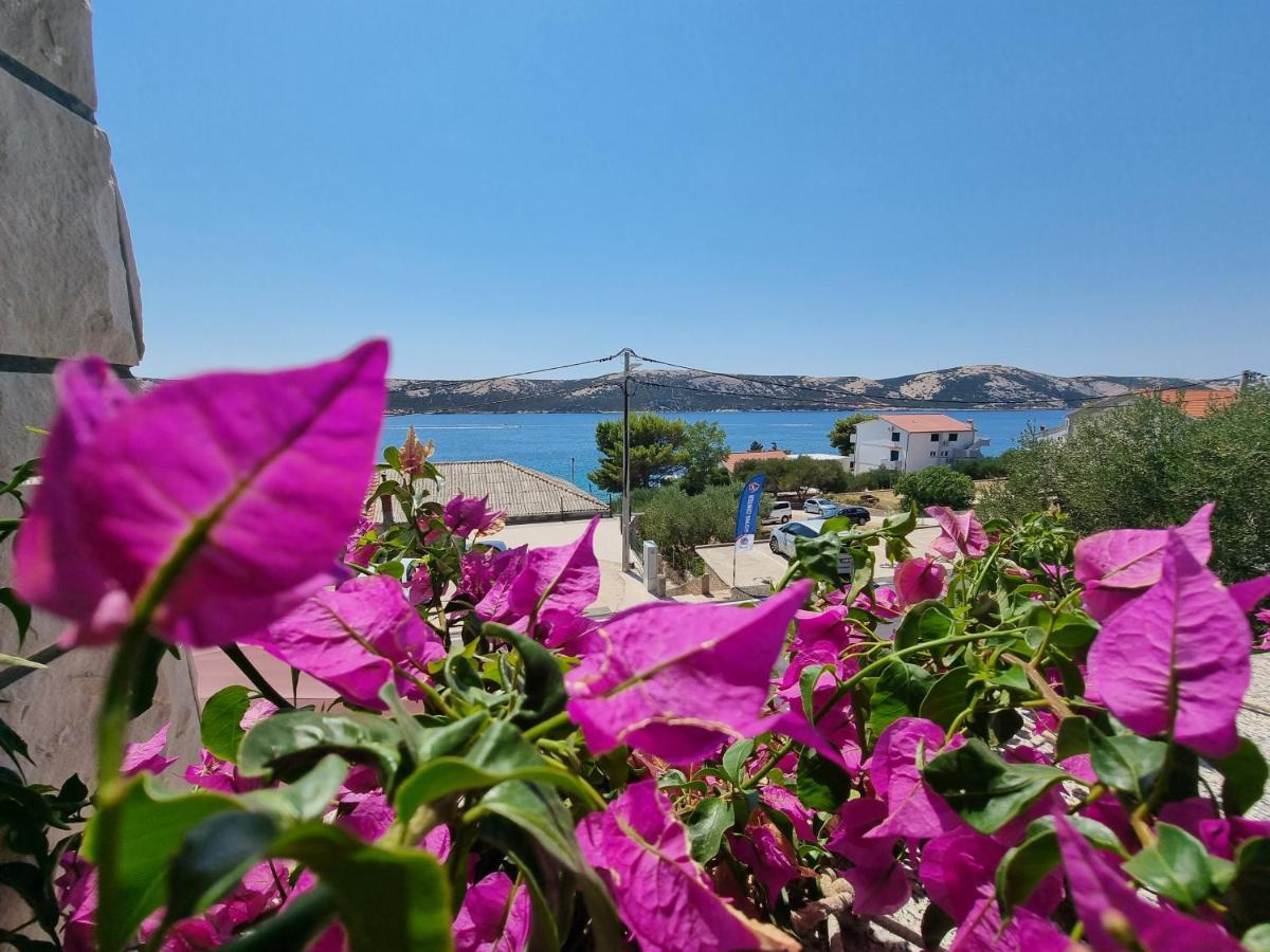 Betanovalja Διαμέρισμα Εξωτερικό φωτογραφία